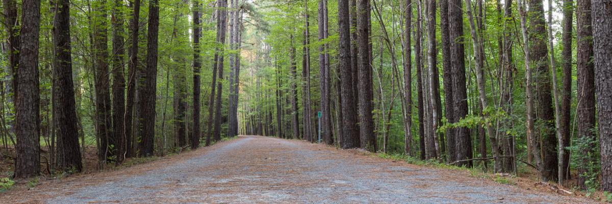 Titan Decks service area - The American Tobacco Trail in Wake County, NC, near Apex and Cary.