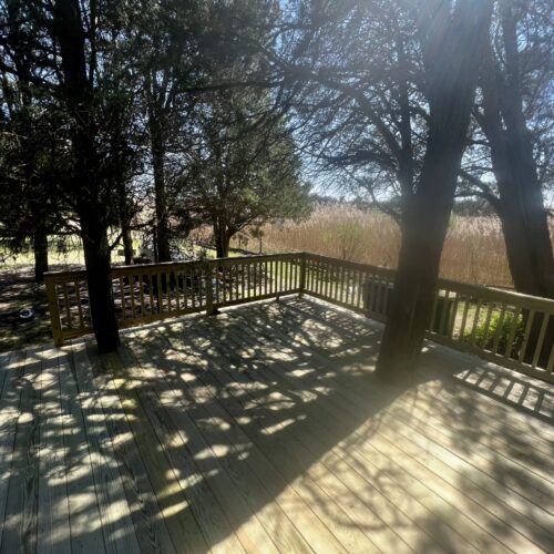 Custom-Wood-Deck-Around-Trees-NC For this unique shot of the deck boards expertly cut to wrap around the existing trees, here are the SEO details for your Media Library. This is a fantastic "flex" image that proves your team's precision and respect for the natural landscape. Image SEO Details Alt Text: Custom wood deck boards professionally cut to wrap around trees on a North Carolina property by Titan Decks.